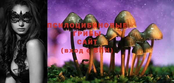 ешки Армянск