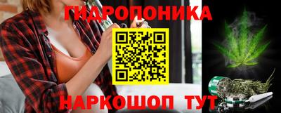 крисы Волжск