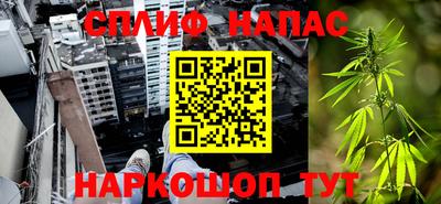 шишки Волгодонск