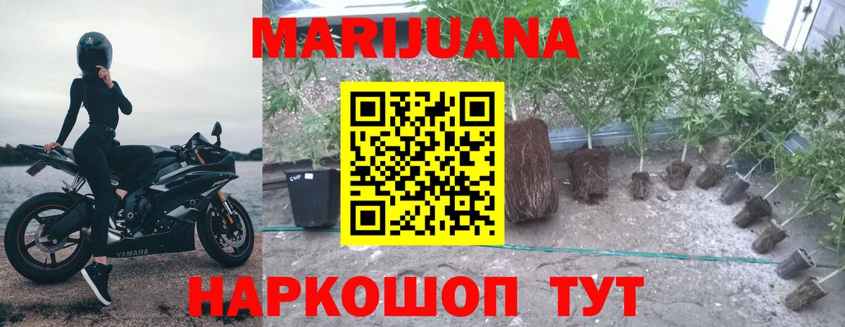 Бошки Шишки MAZAR  Конопля сатива  Вход с VPN  Марихуана конопля  Полевской  Каннабис White Widow 